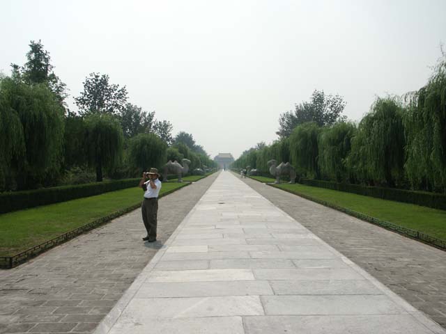 PICT4206
