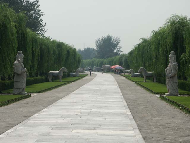 PICT4212