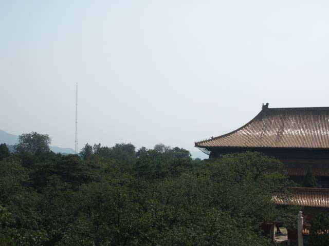 PICT4259