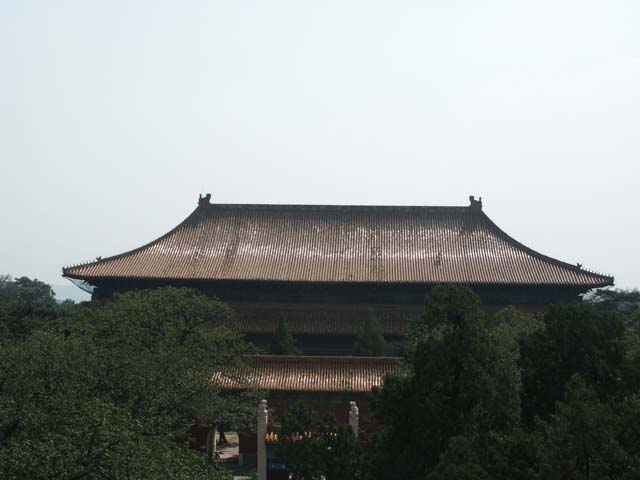 PICT4260