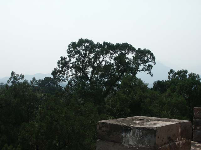 PICT4262