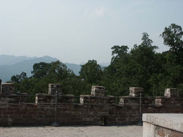 PICT4264