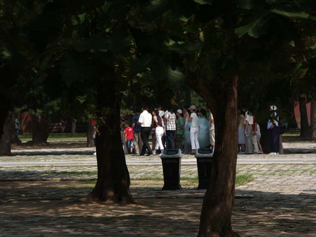 PICT4279