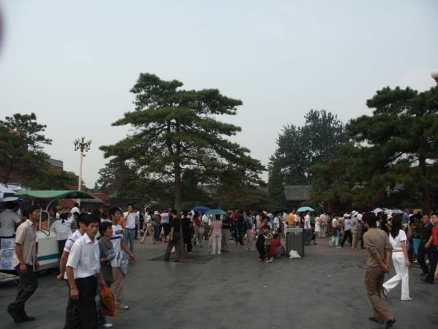 PICT4587
