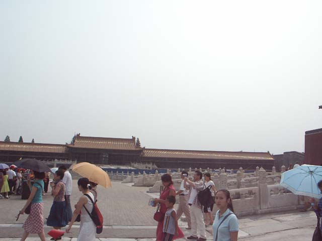 PICT4768