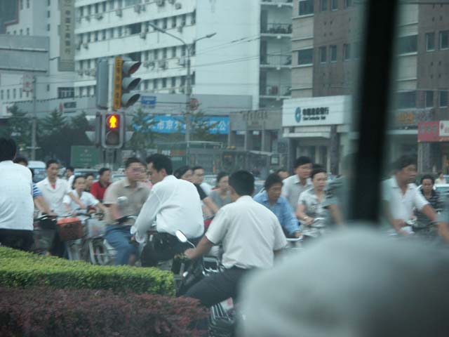 PICT5082