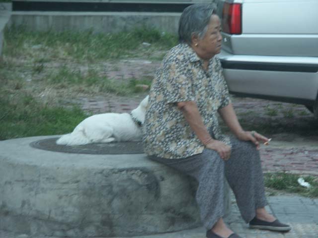PICT5091