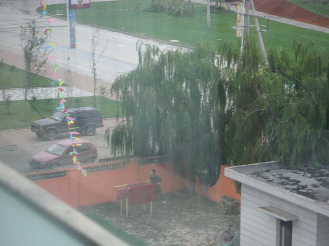 PICT0006