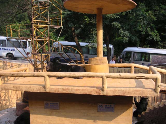 PICT0012