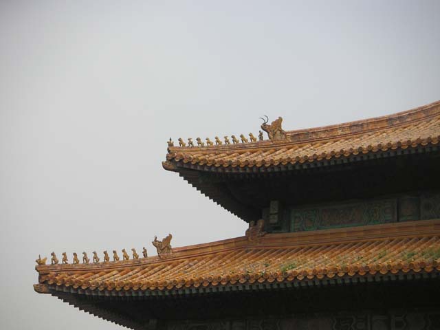 PICT0029