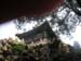 PICT0041