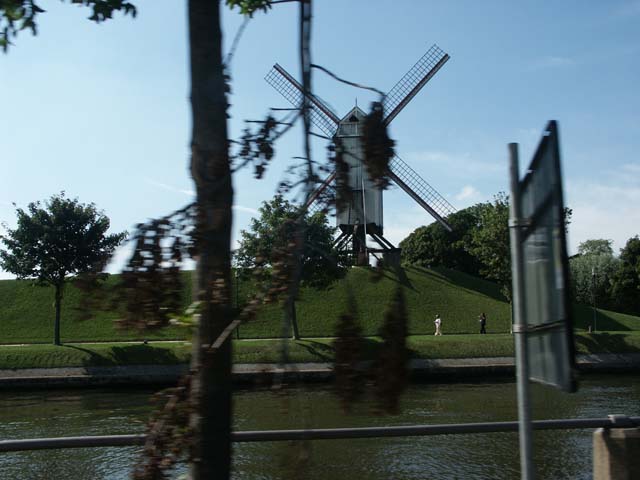 PICT5262