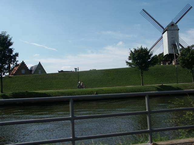 PICT5263