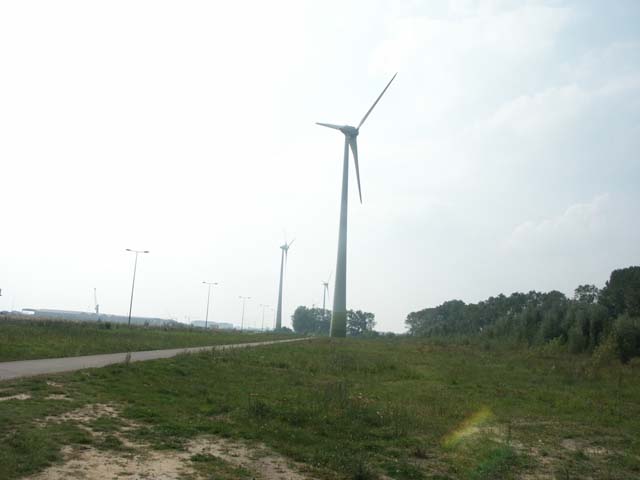 PICT5266