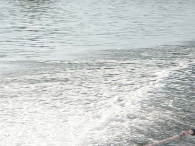 PICT5539