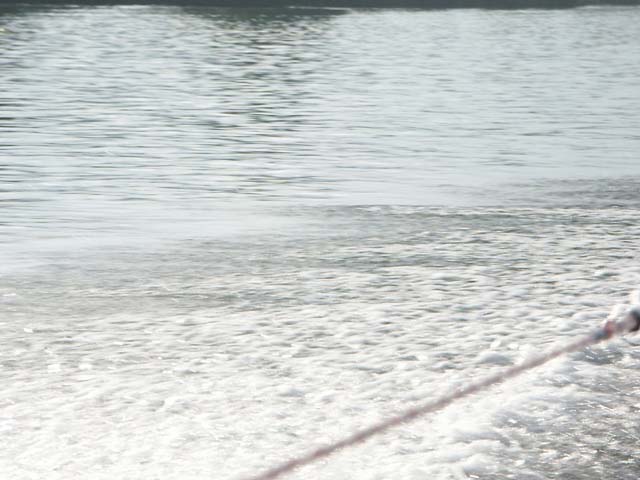 PICT5540
