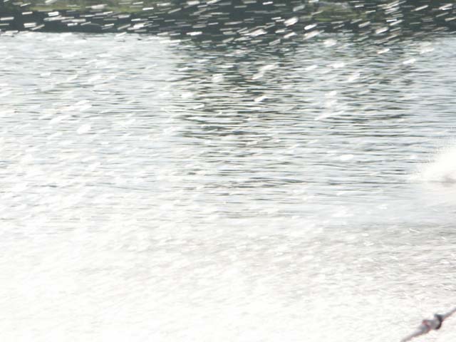 PICT5545