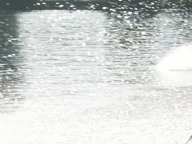 PICT5546