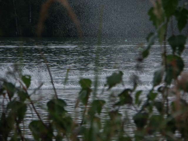 PICT5438