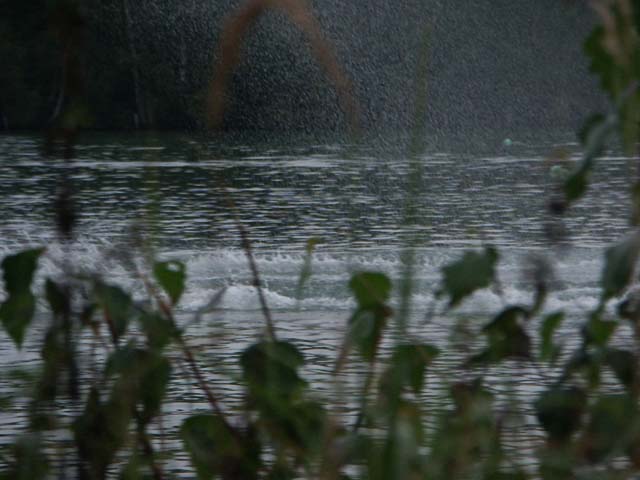 PICT5439