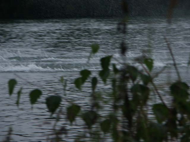PICT5483