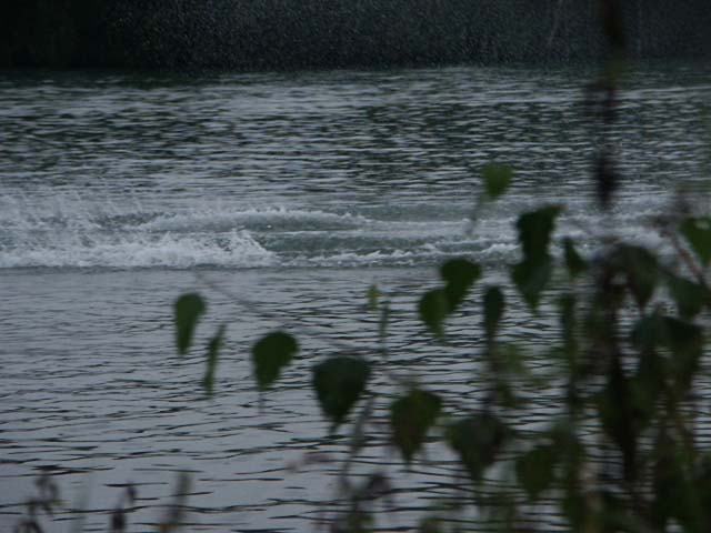 PICT5484