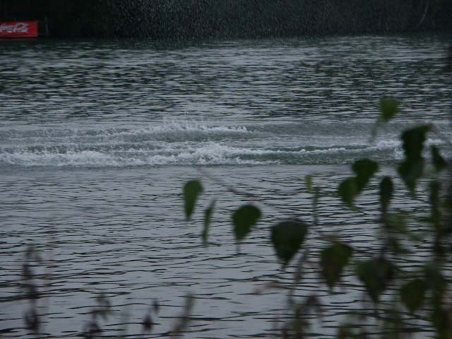 PICT5485