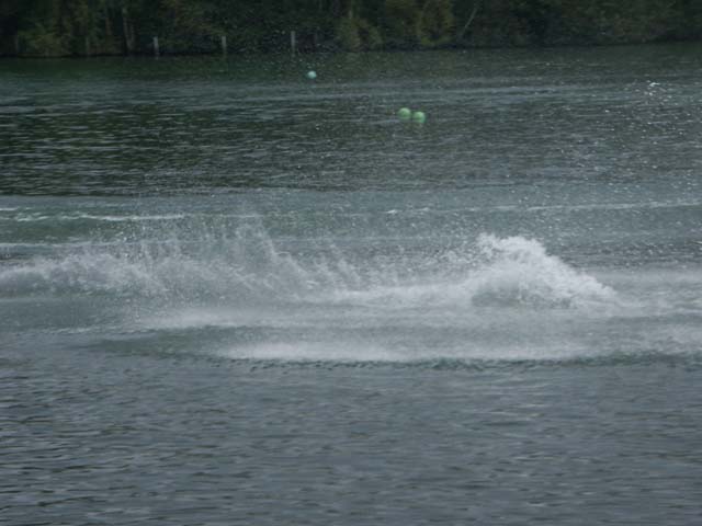 PICT5890