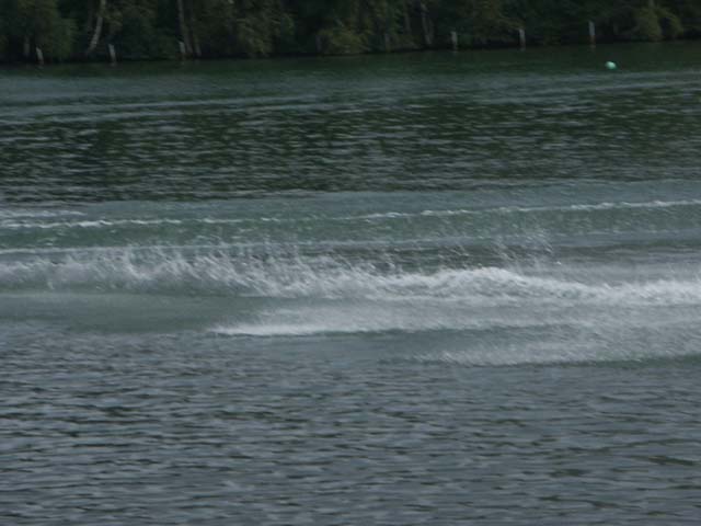 PICT5892