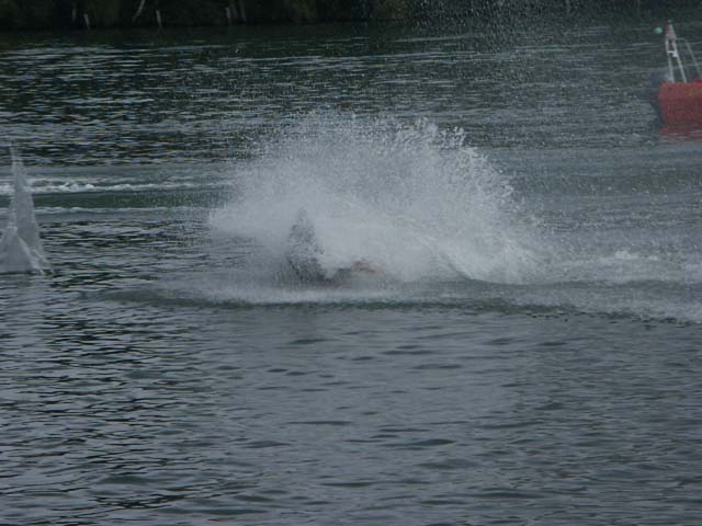 PICT5924