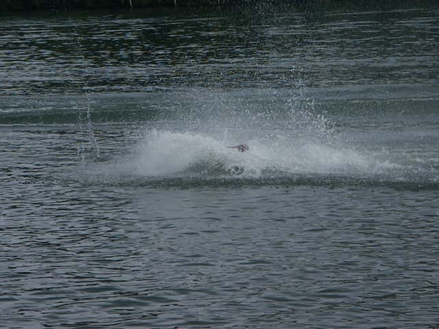 PICT5926