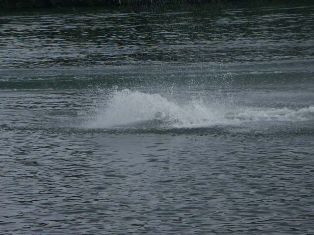 PICT5927