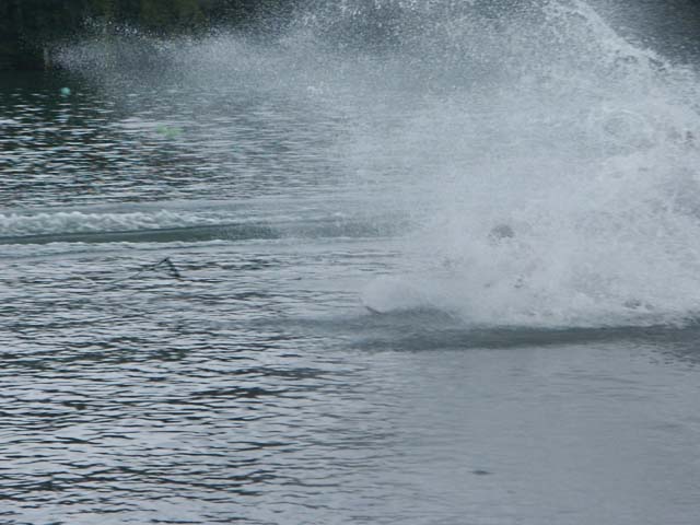 PICT5953