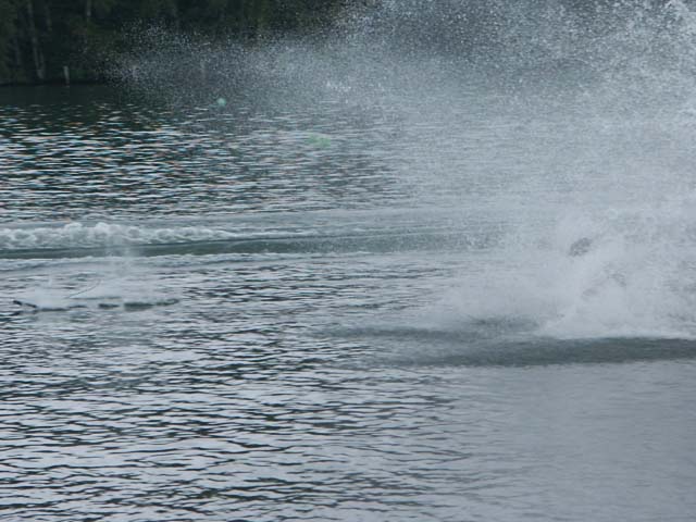 PICT5954