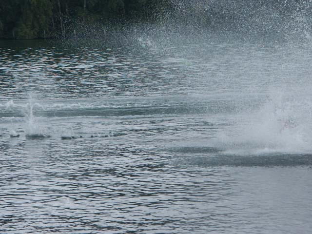 PICT5955