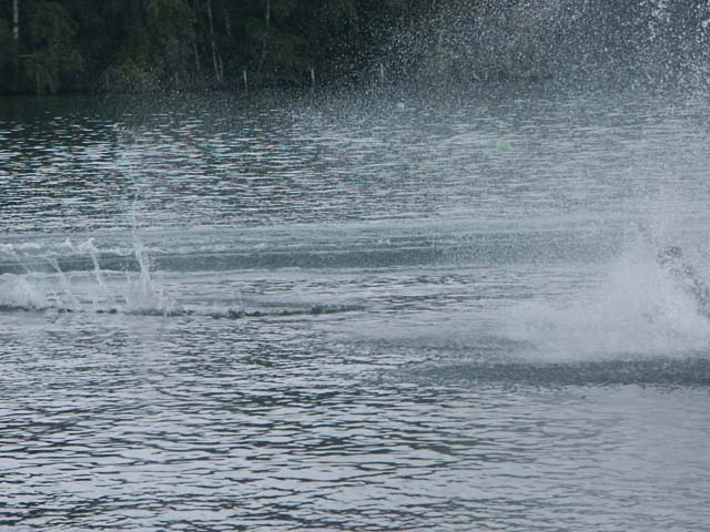 PICT5956
