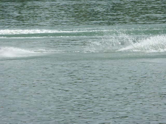 PICT6270