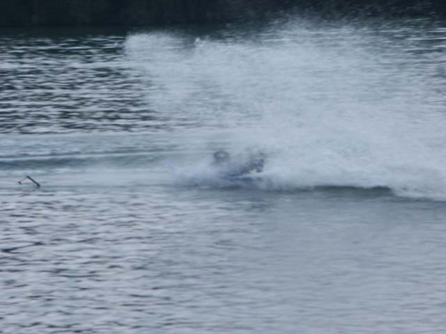 PICT6335