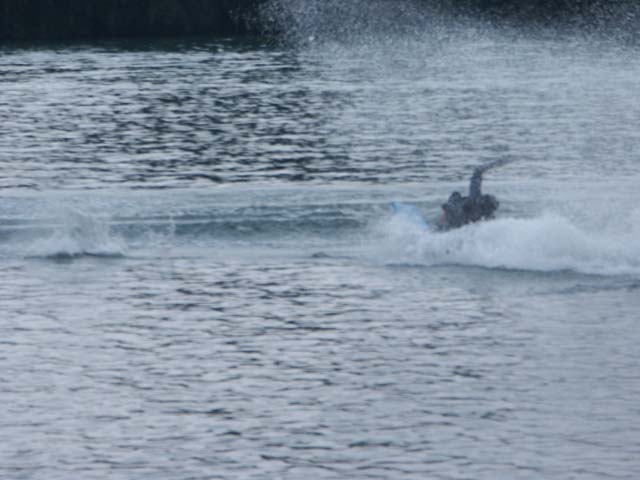 PICT6337