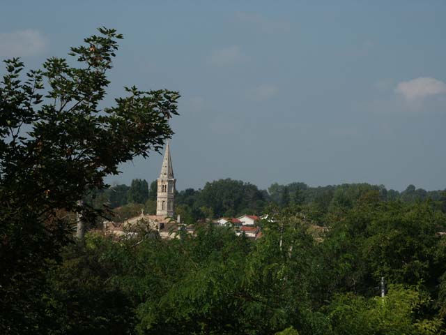 PICT0008