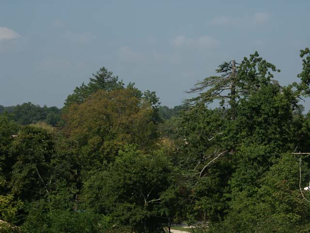PICT0009
