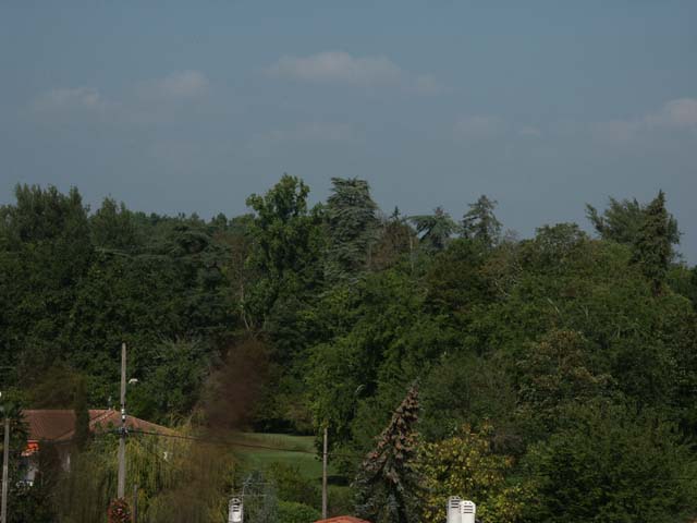 PICT0010